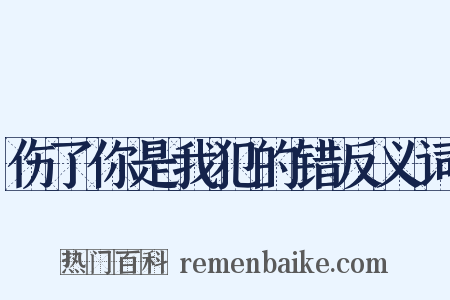 伤了你是我犯的错反义词是什么意思的图片
